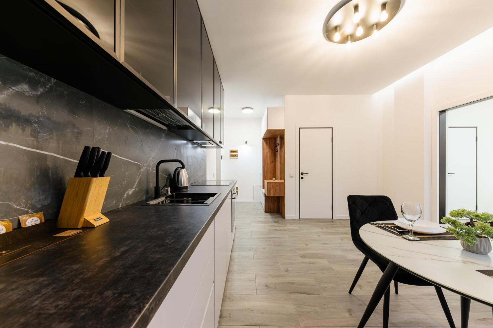 Luxury Apartments Laborca Ujhorod Exterior foto